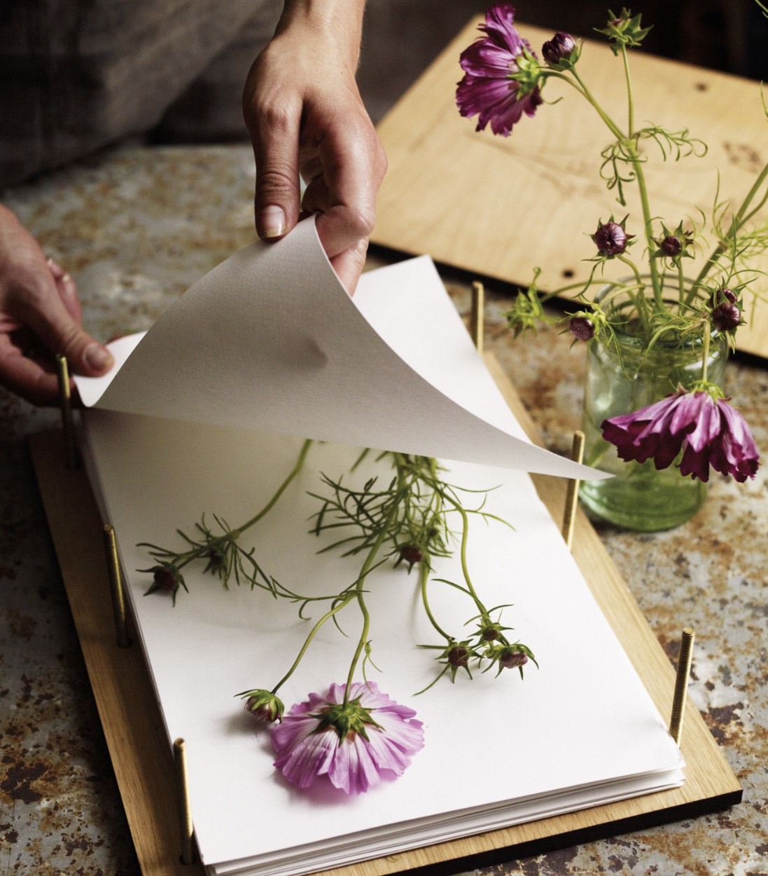 Pressed Flowers Class-TUESDAY-12/5-6-8PM
